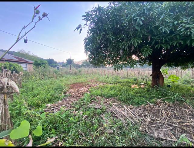 4,500M² VACANT LAND FOR SALE IN NGOVHELA